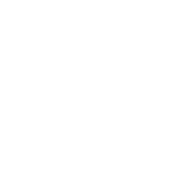 ARC Evals Logo